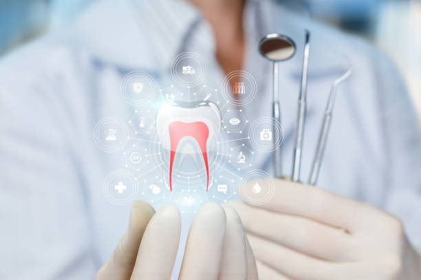  Pumpkin Center, NC Dental Services Pros